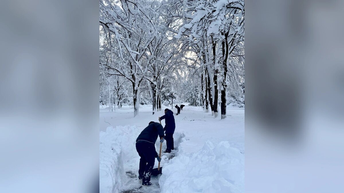    Фото t.me/muratkumpilov