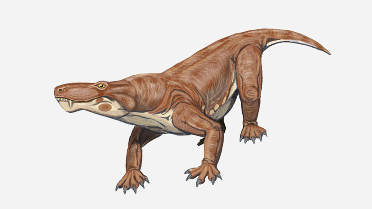    Териодонт. Фото: Wikipedia.orh