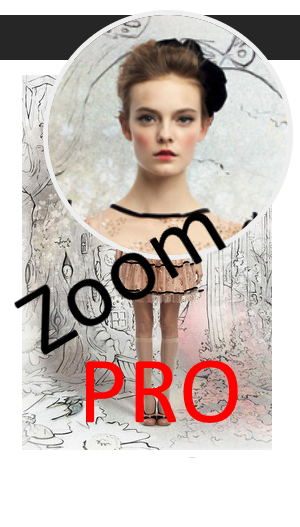    Улучшите продажи с модулем зуммирования ZoomPRO