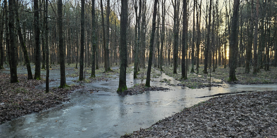Не хотите копить - не копите