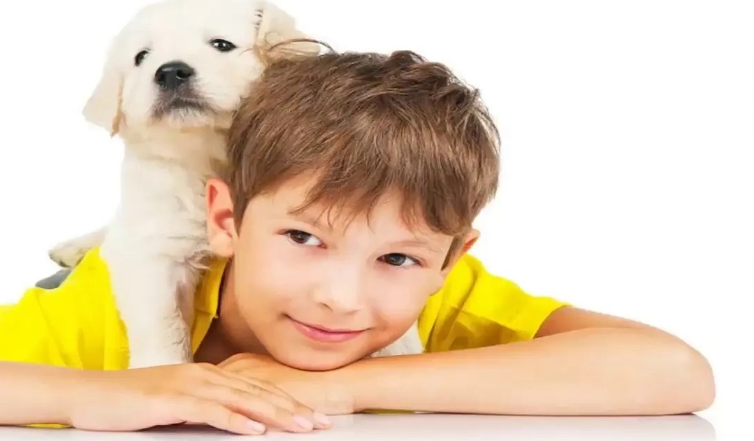 Теперь я не один