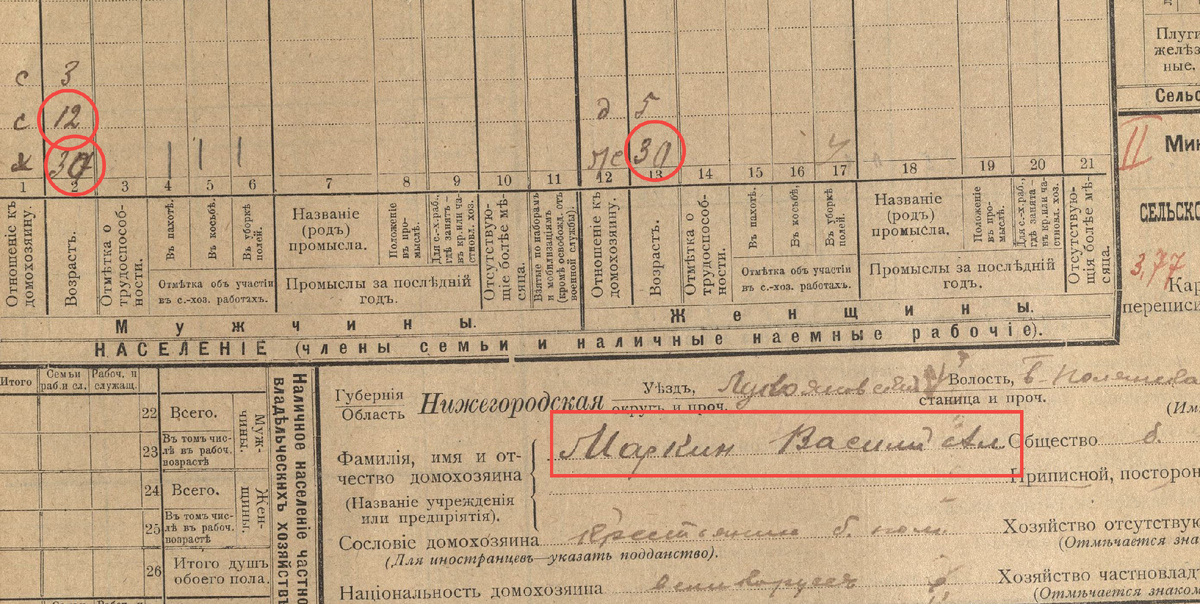 Фрагмент подворной карточки Маркина Василия Алексеевича. Село Елфимово, Лукояновский уезд, Нижегородская губерния. ЦАНО ф.Р-124 оп.4 д.112 л.625.