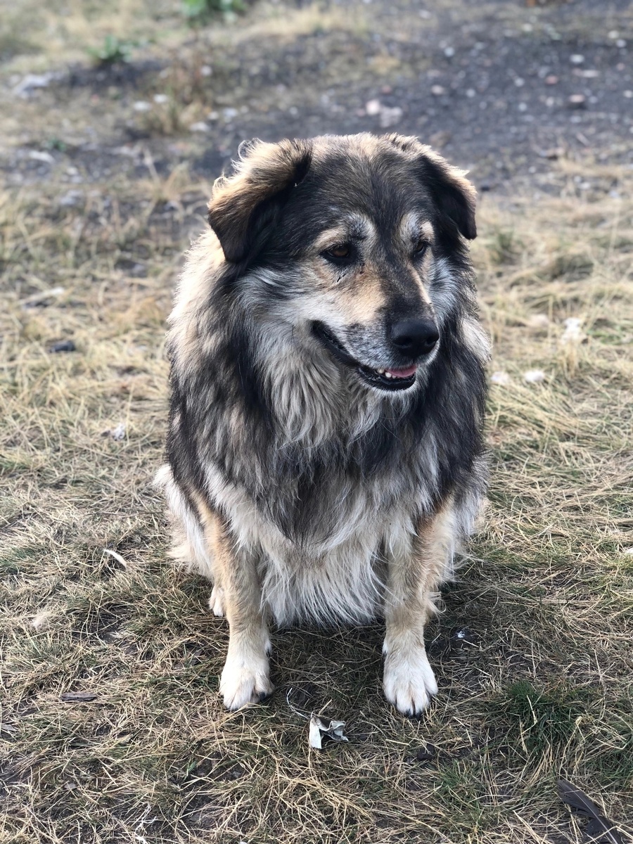 Красавица Булочка.