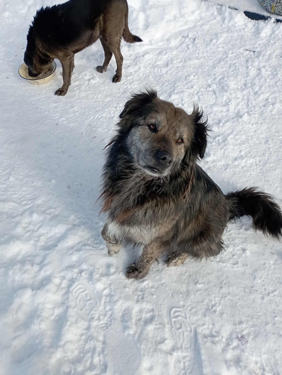 Батончик на прогулке.