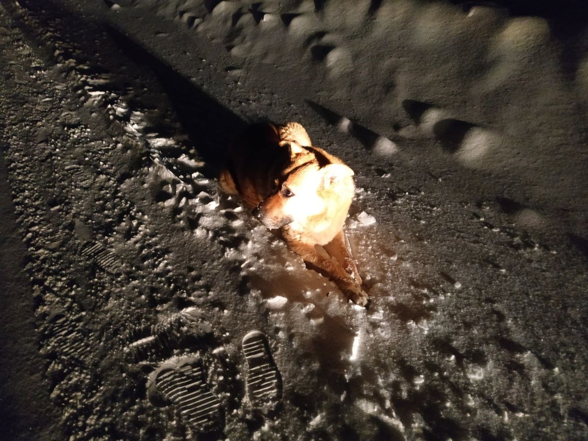 Это произошло у них на глазах