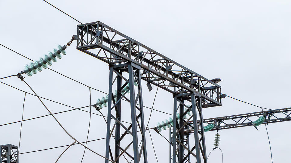 Фото: Егор Снетков / Коммерсантъ