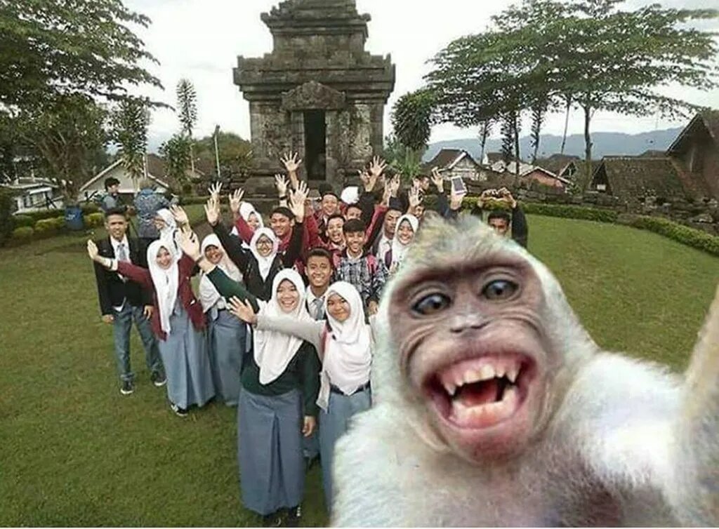 Фото из открытого источника