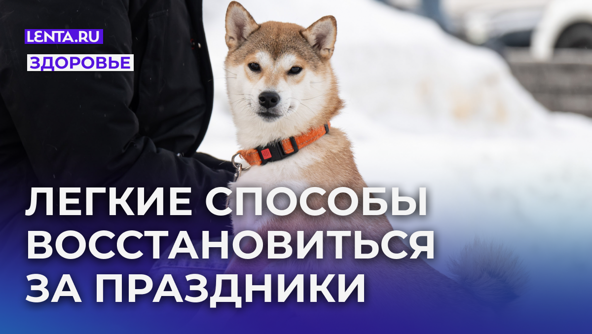 Фото: Ruslan Yarocky/URA.RU/Global Look Press