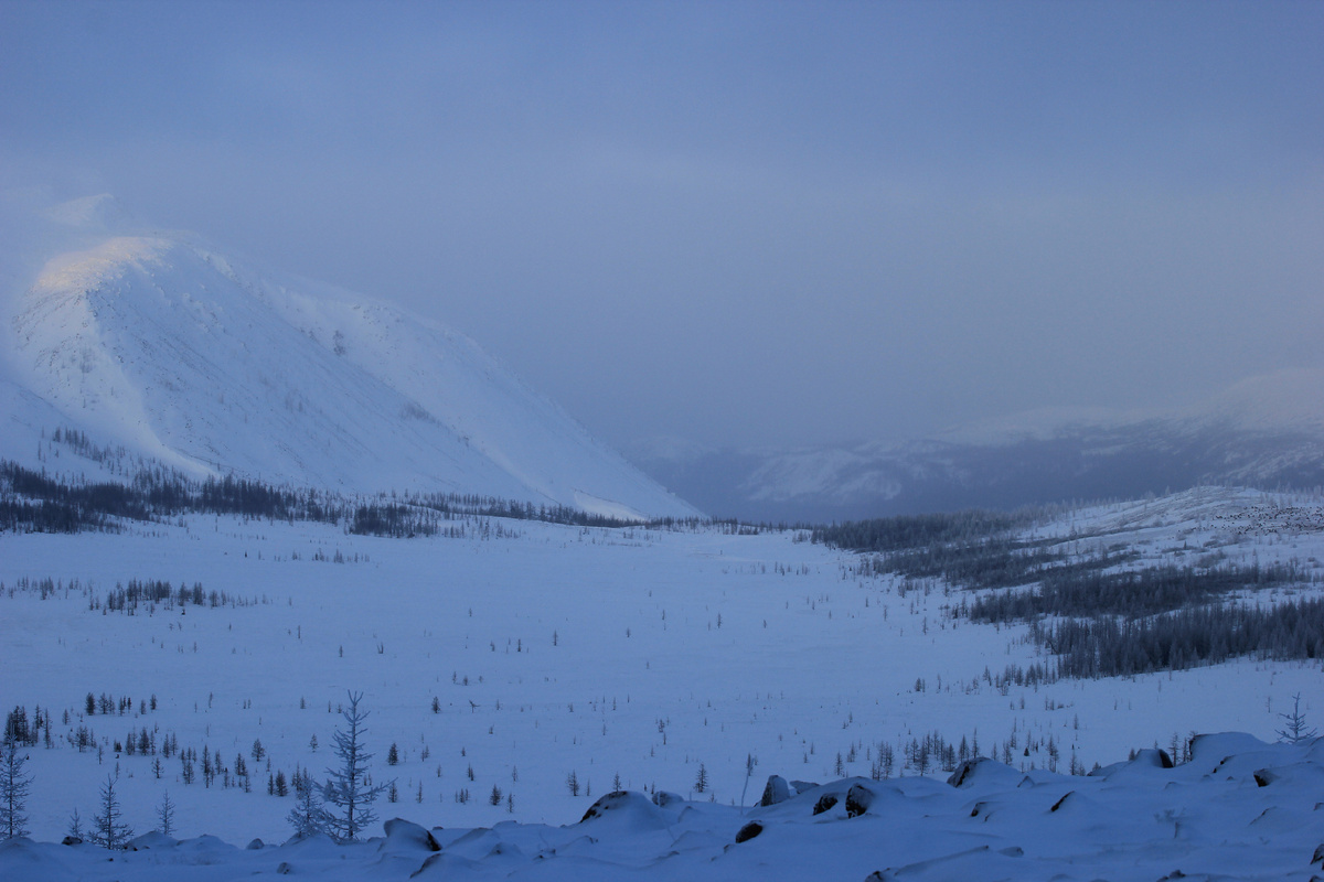 Фото автора канала "Удивительный мир живой природы "