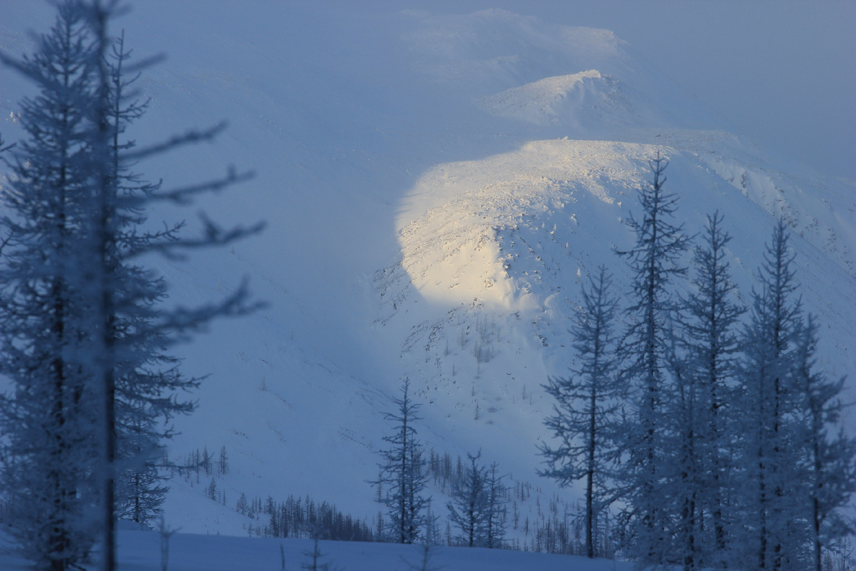 Фото автора канала "Удивительный мир живой природы "