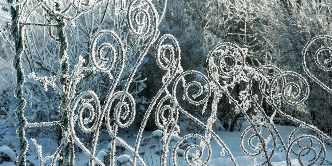 По канонам сезона: оформляем сад зимой