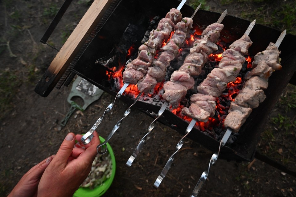    Жарка шашлыков на СТО обернулась трагедией. Евгения ГУСЕВА