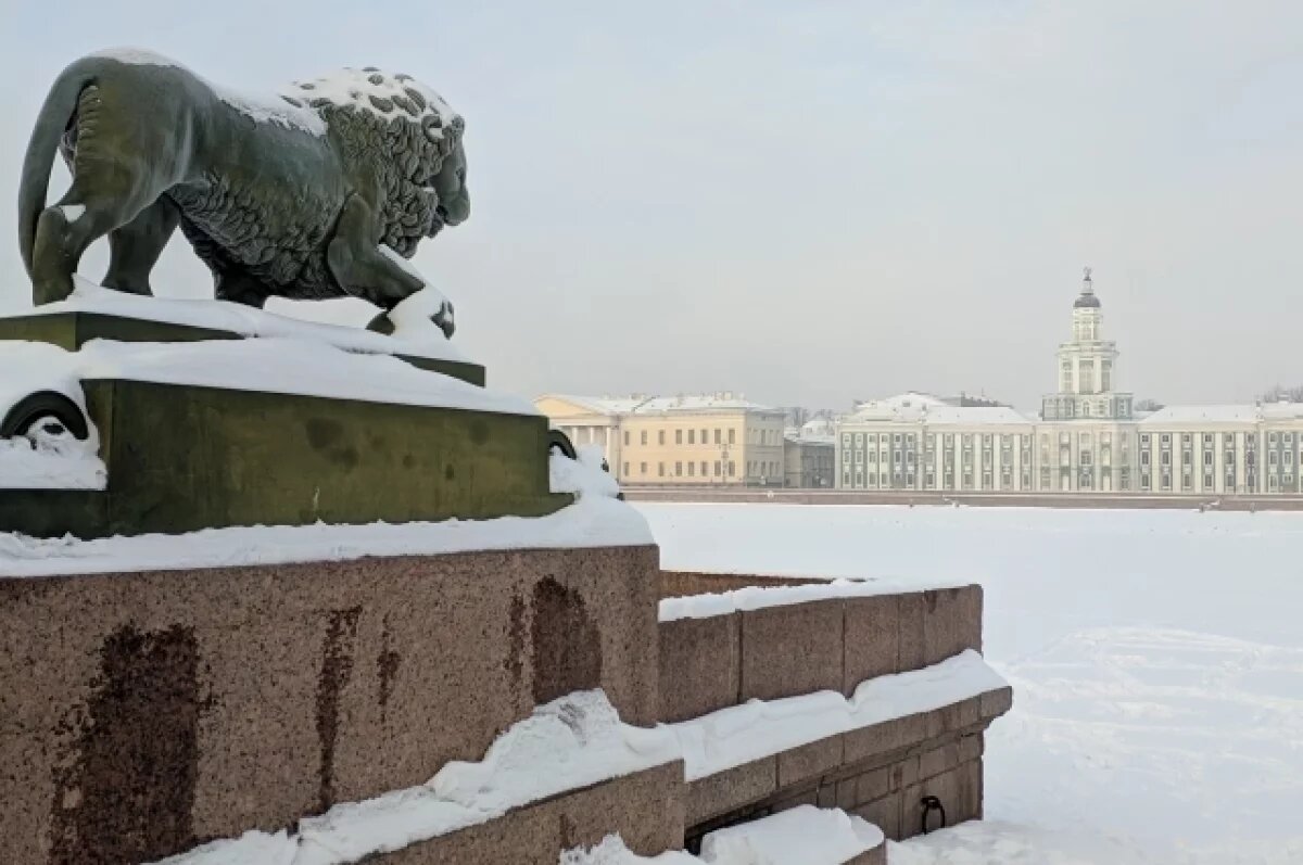   Зимние фонтаны радуют своей красотой петербуржцев