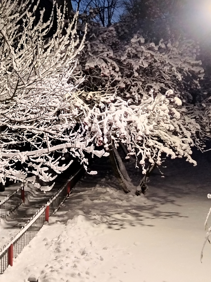 Где-то в пути 