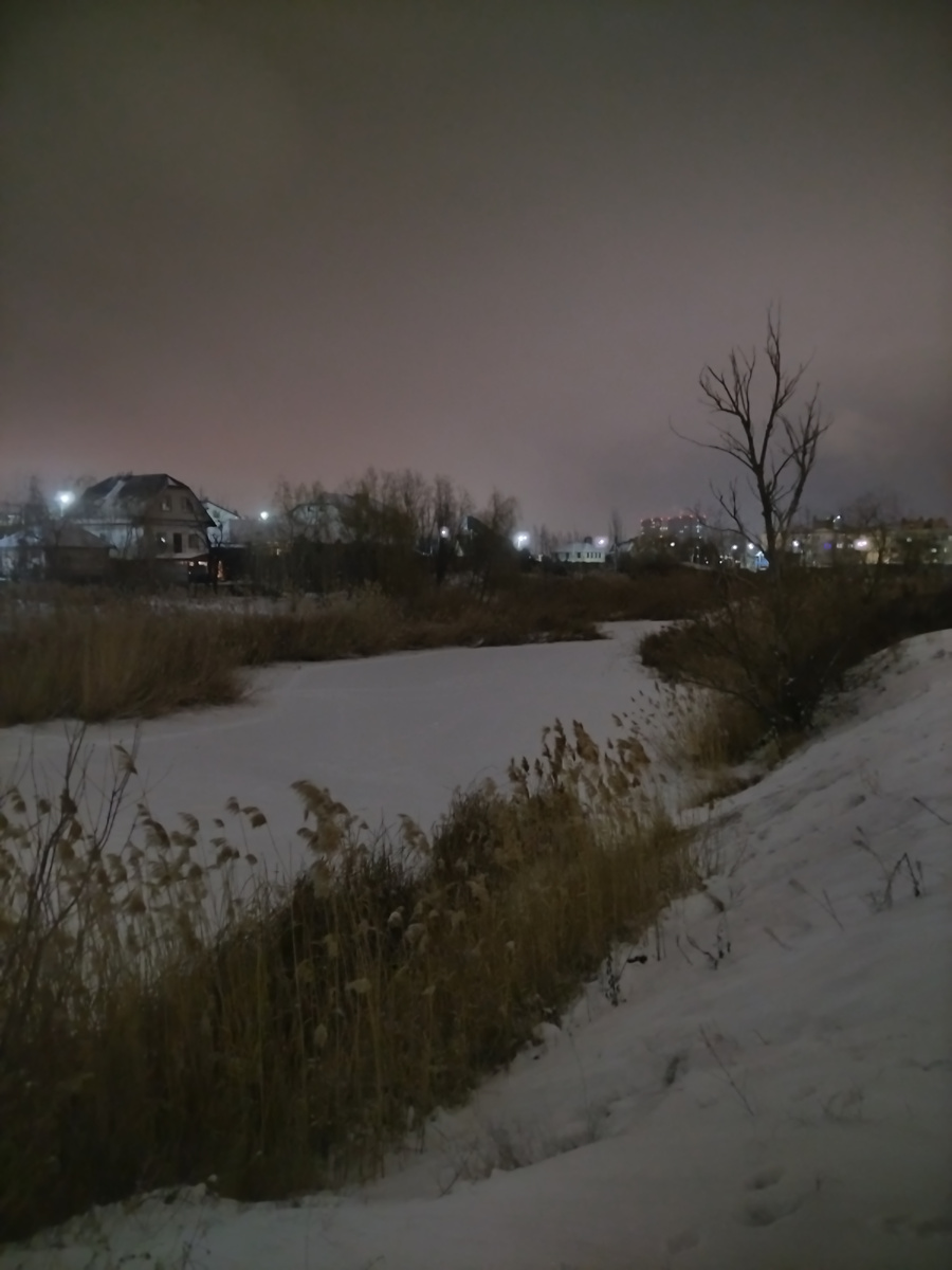 Пруд у которого мы часто гуляли с Зефиркой 