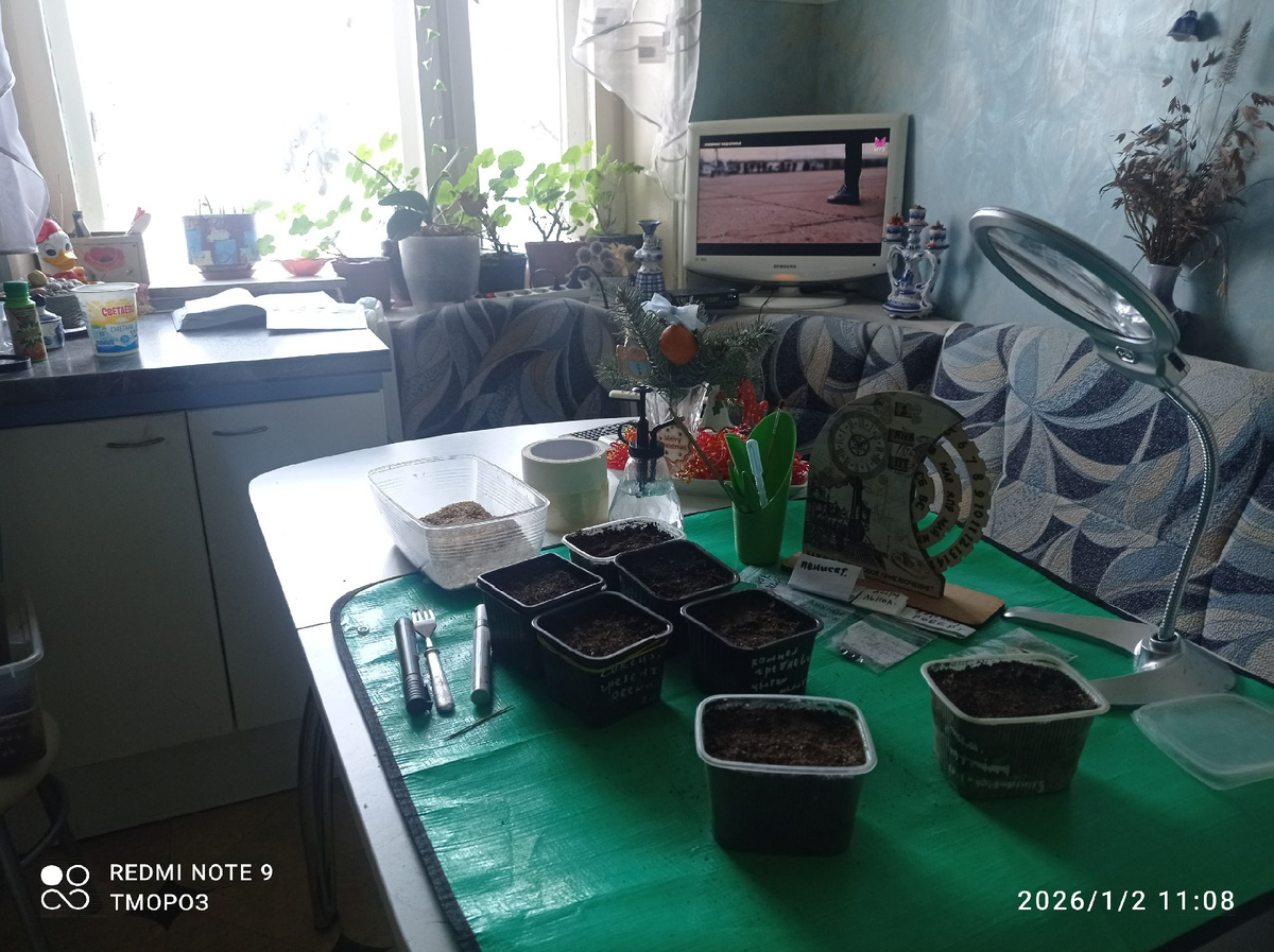 к посеву готова