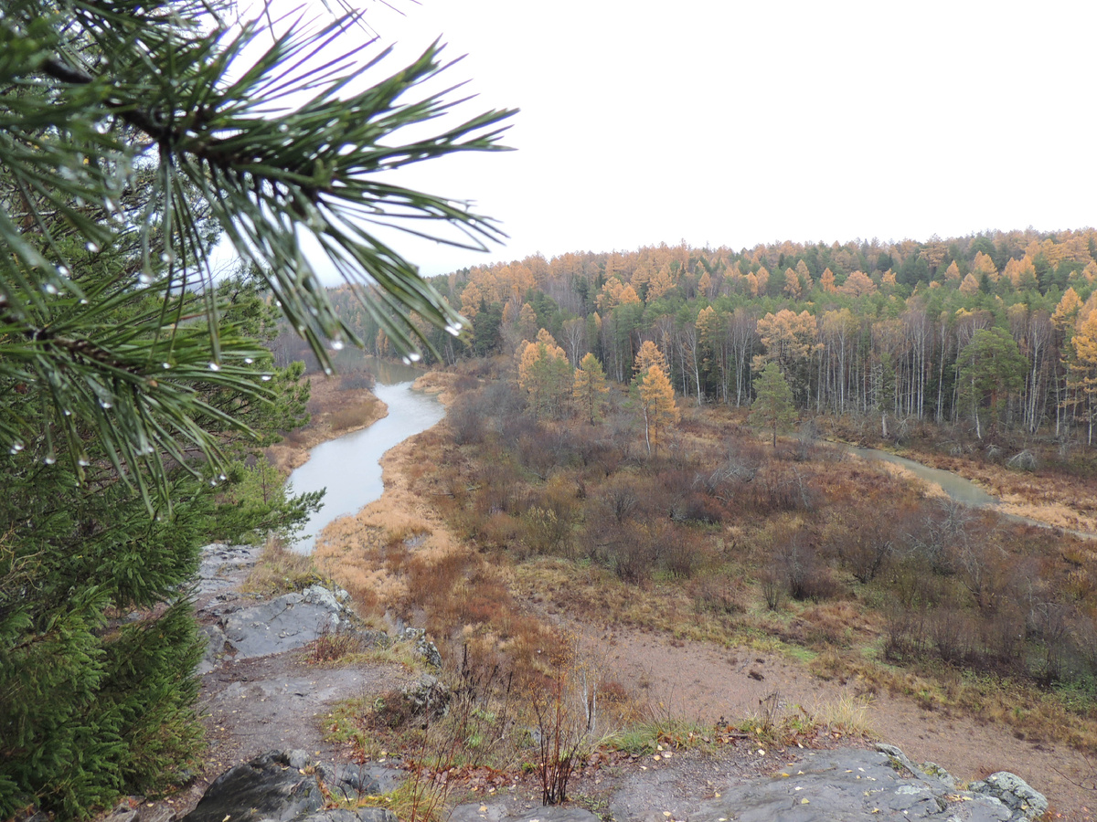 "Оленьи ручьи". Вид со скалы Светлая