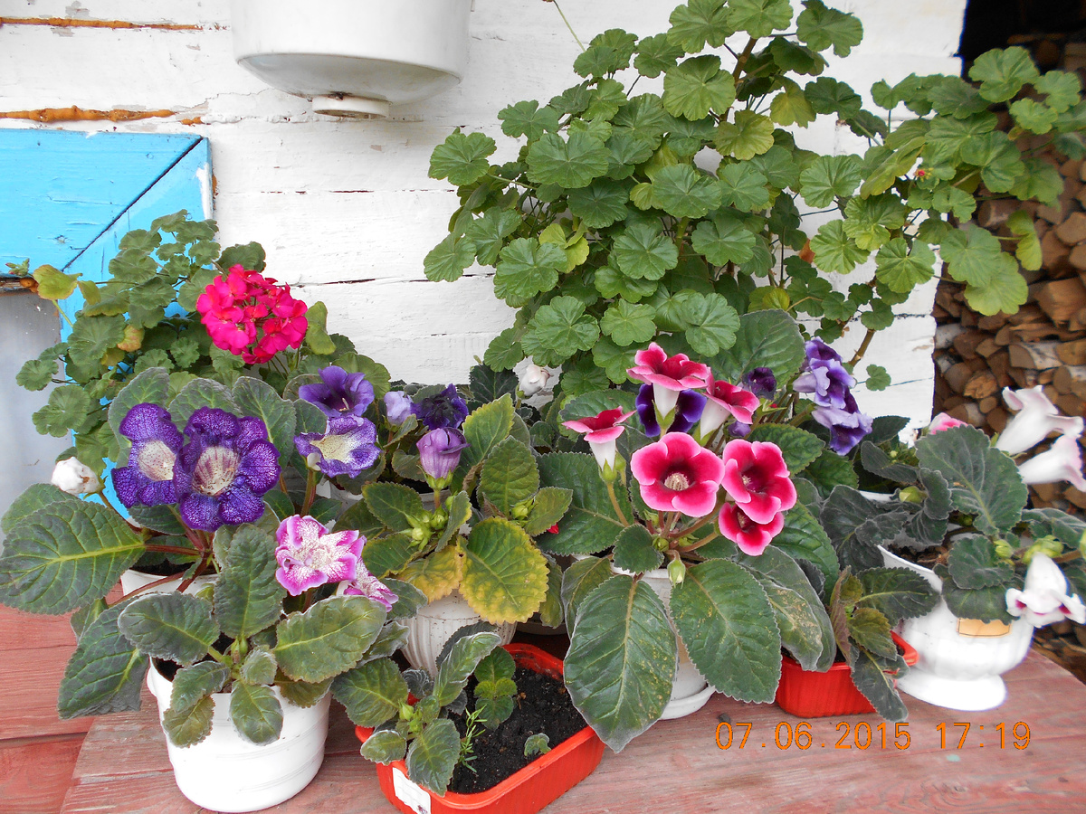 Фото автора.