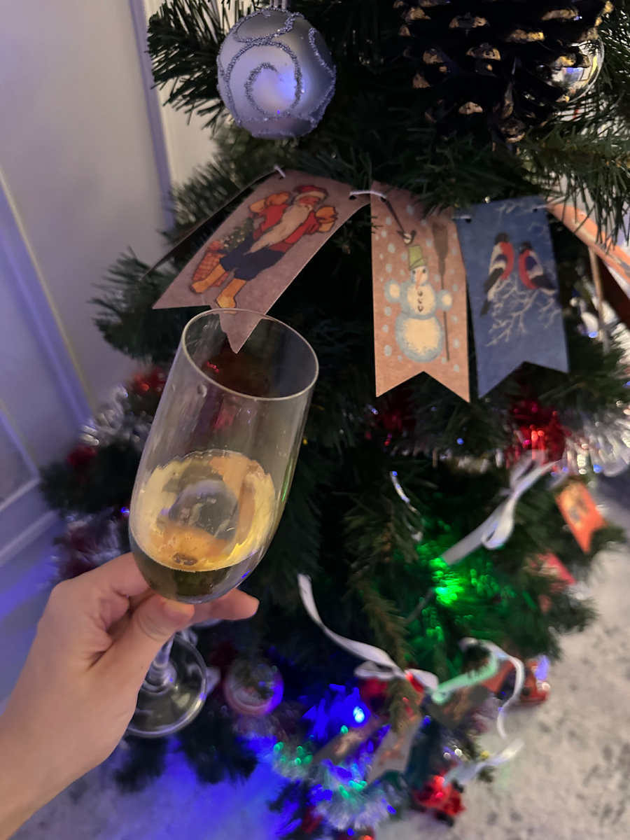 Новый 2026 год ! 