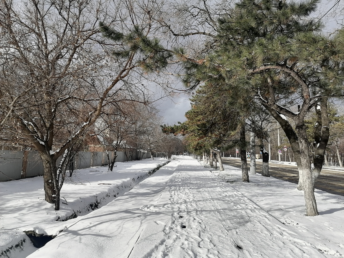 Временами выглядывало солнышко