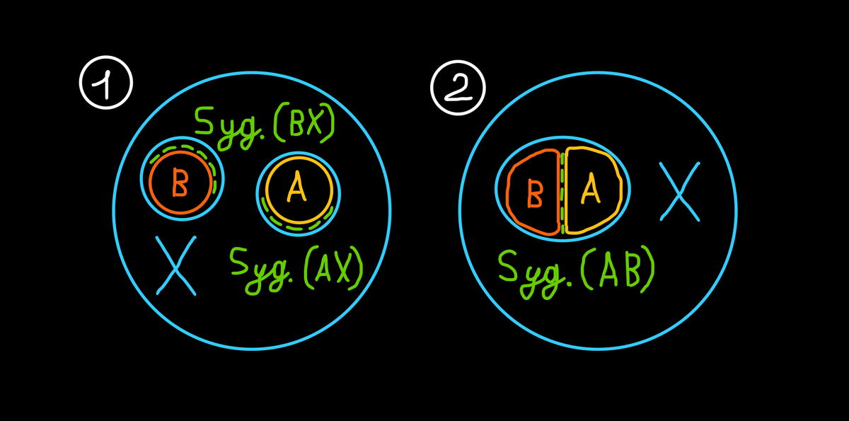 адгезия двух капель растительного масла, состоящих из двух разных полиненасыщенных жирных кислот (A и B) в водной среде (X); AX, BX и AB - поверхности раздела фаз; S уд. (AX) - удельная площадь поверхности раздела фаз A и X (м²/м³); S уд. (BX) - удельная площадь поверхности раздела фаз B и X (м²/м³); S уд. (AB) - удельная площадь поверхности раздела фаз A и B (м²/м³).