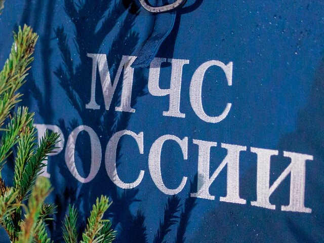    Фото: портал мэра и правительства Москвы/Олег Сосницкий