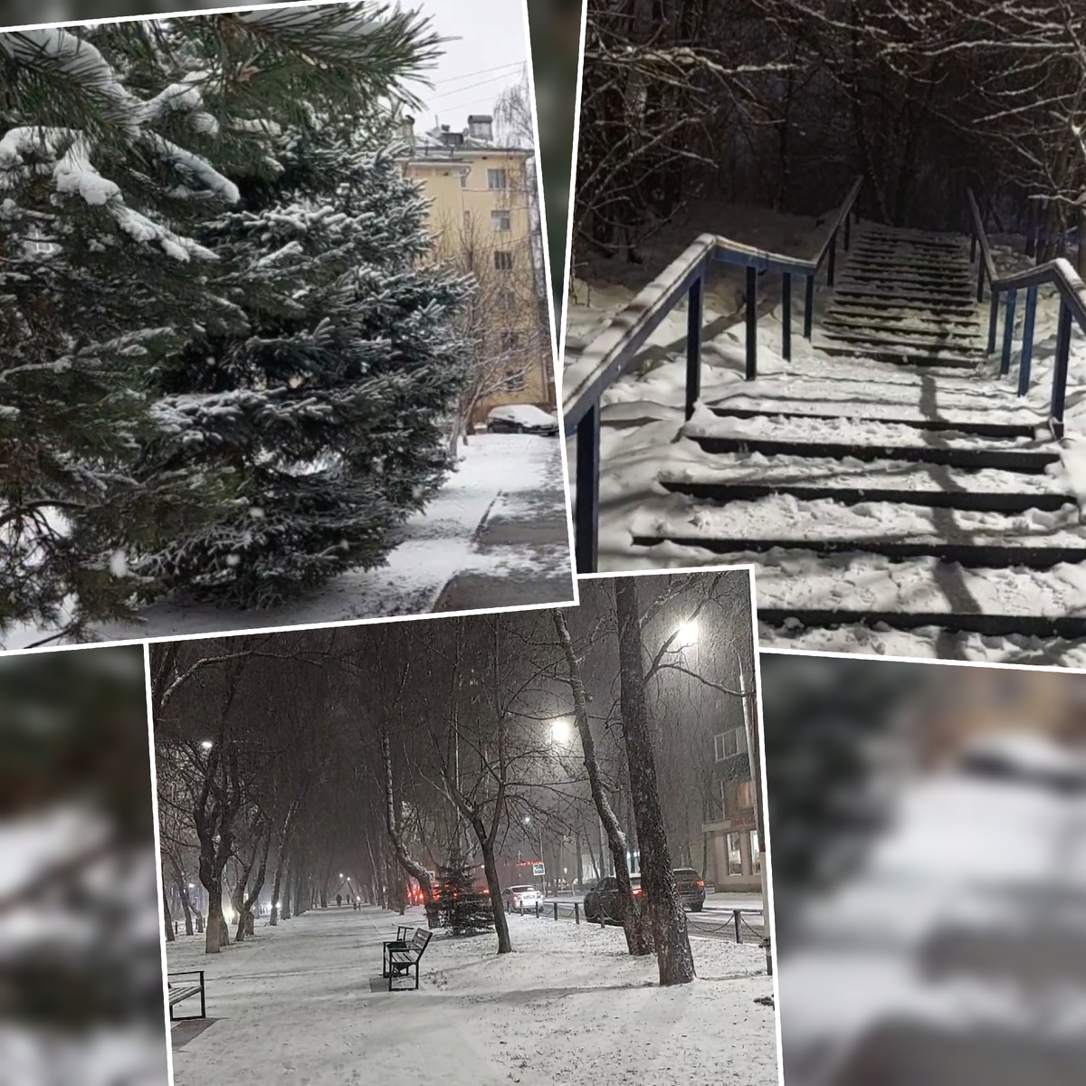 Фото автора.