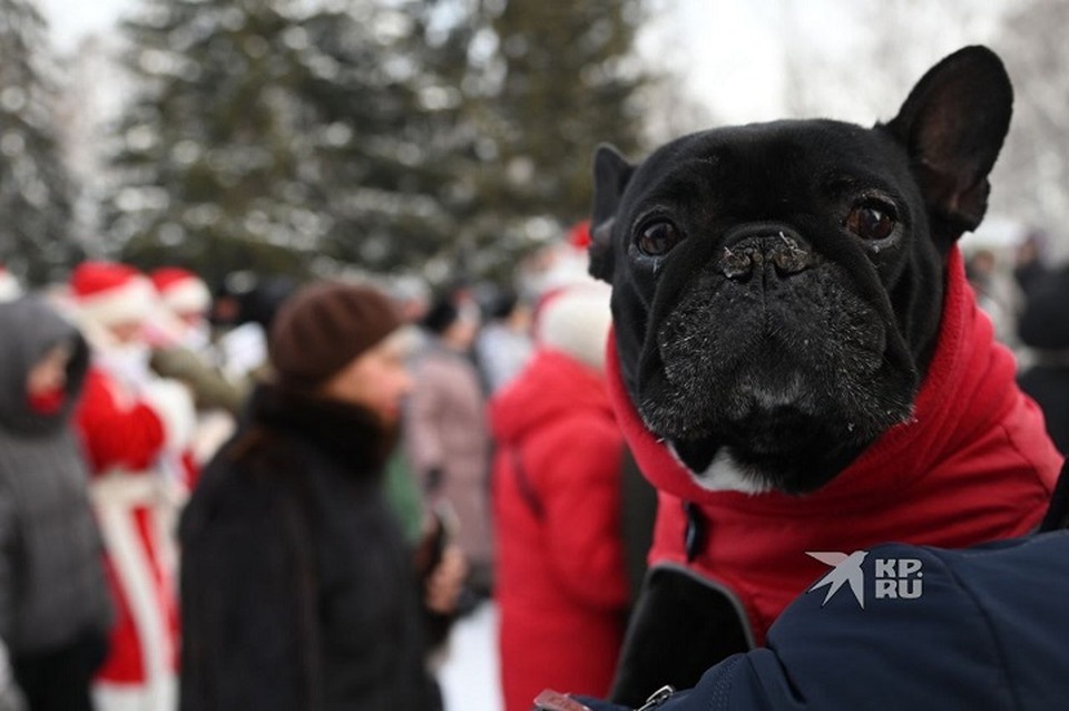    Парад подарил горожанам праздничное настроение Ольга ЮШКОВА