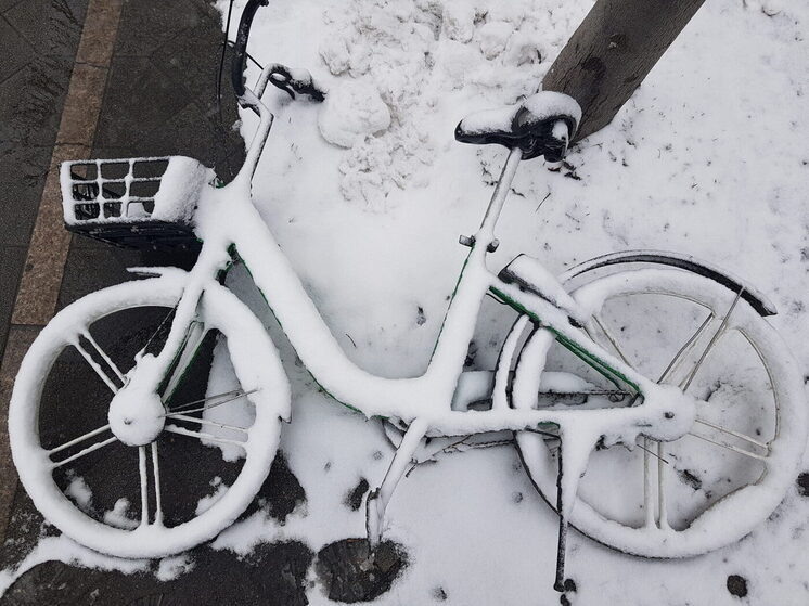     Фото: "МК на Кубани"