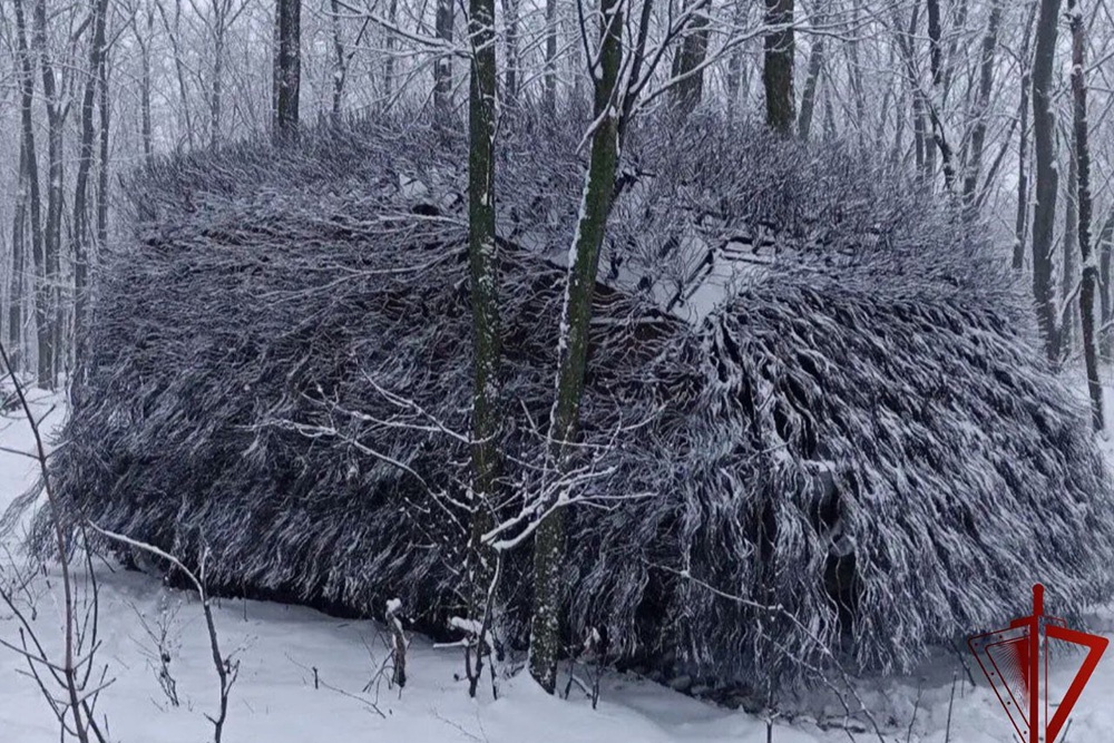     Фото: Росгвардия