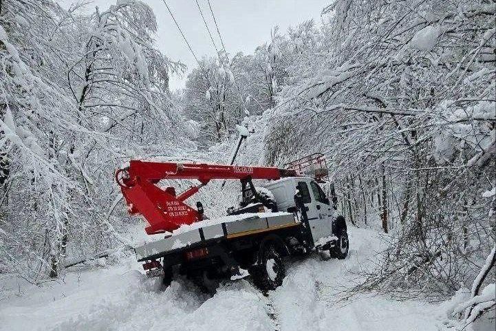    фото: Администрация Адлерского внутригородского района города-курорта Сочи