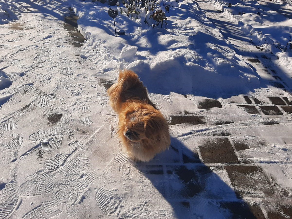 Эту "юлу" невозможно поймать в кадр