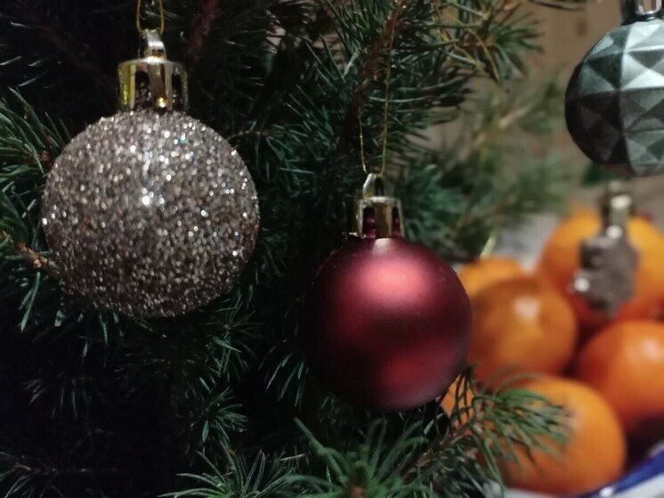     фото: архив мк в мурманске.