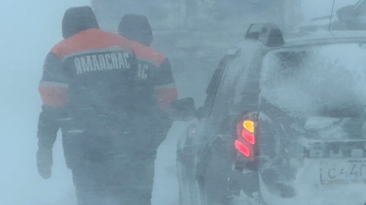    Фото: Вера Дронзикова / «Ямал-Медиа»