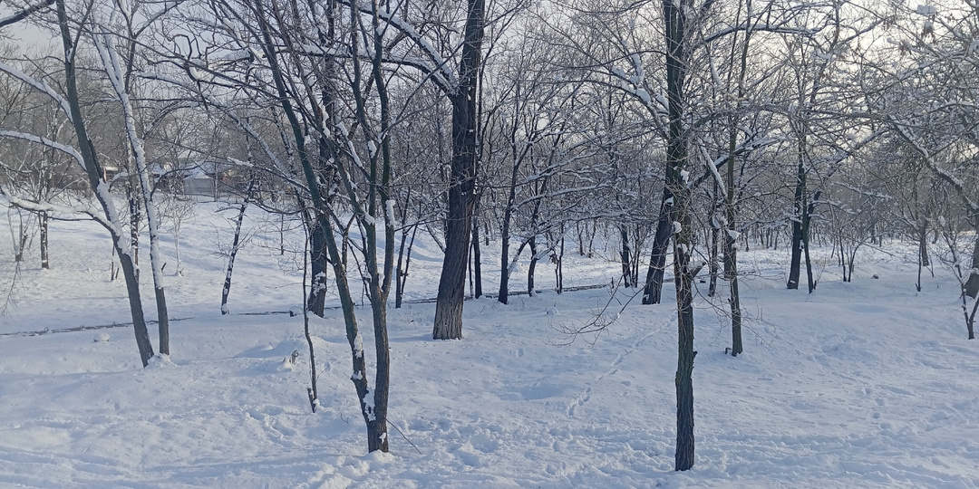 Зимний парк.