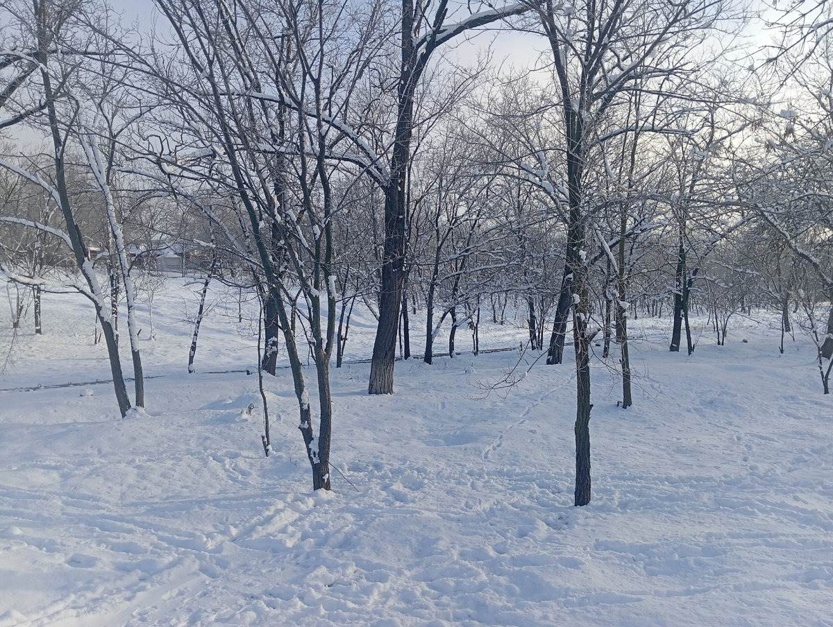 Парк в снегу.