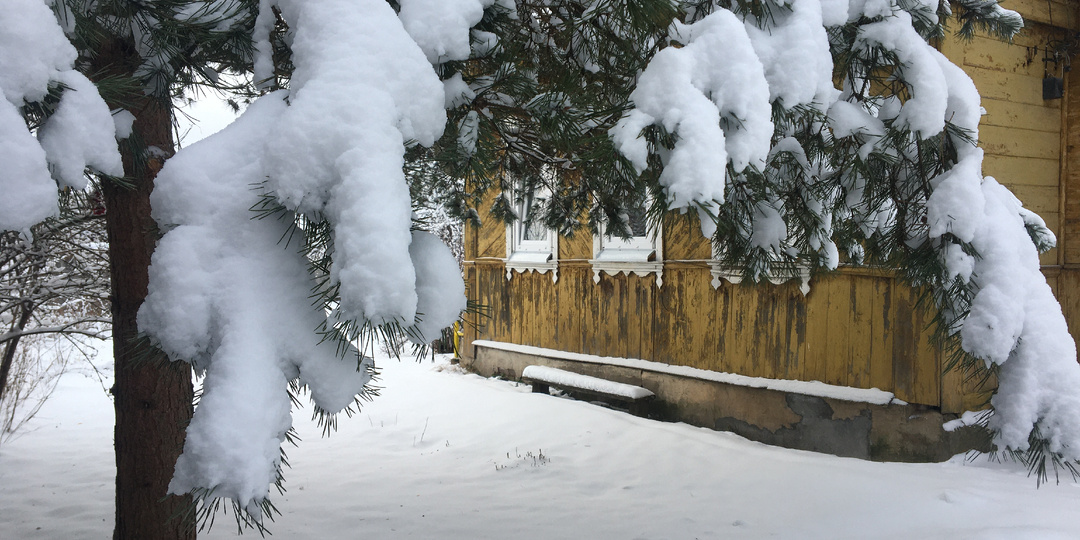 Кошка так посмотрела на меня, что я выключила звук ТВ
