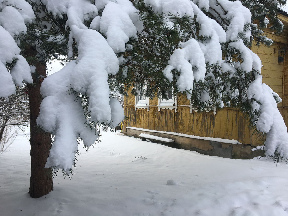 Вот в этом доме и мечтала о будущем. 31.12.2025. Фото автора.