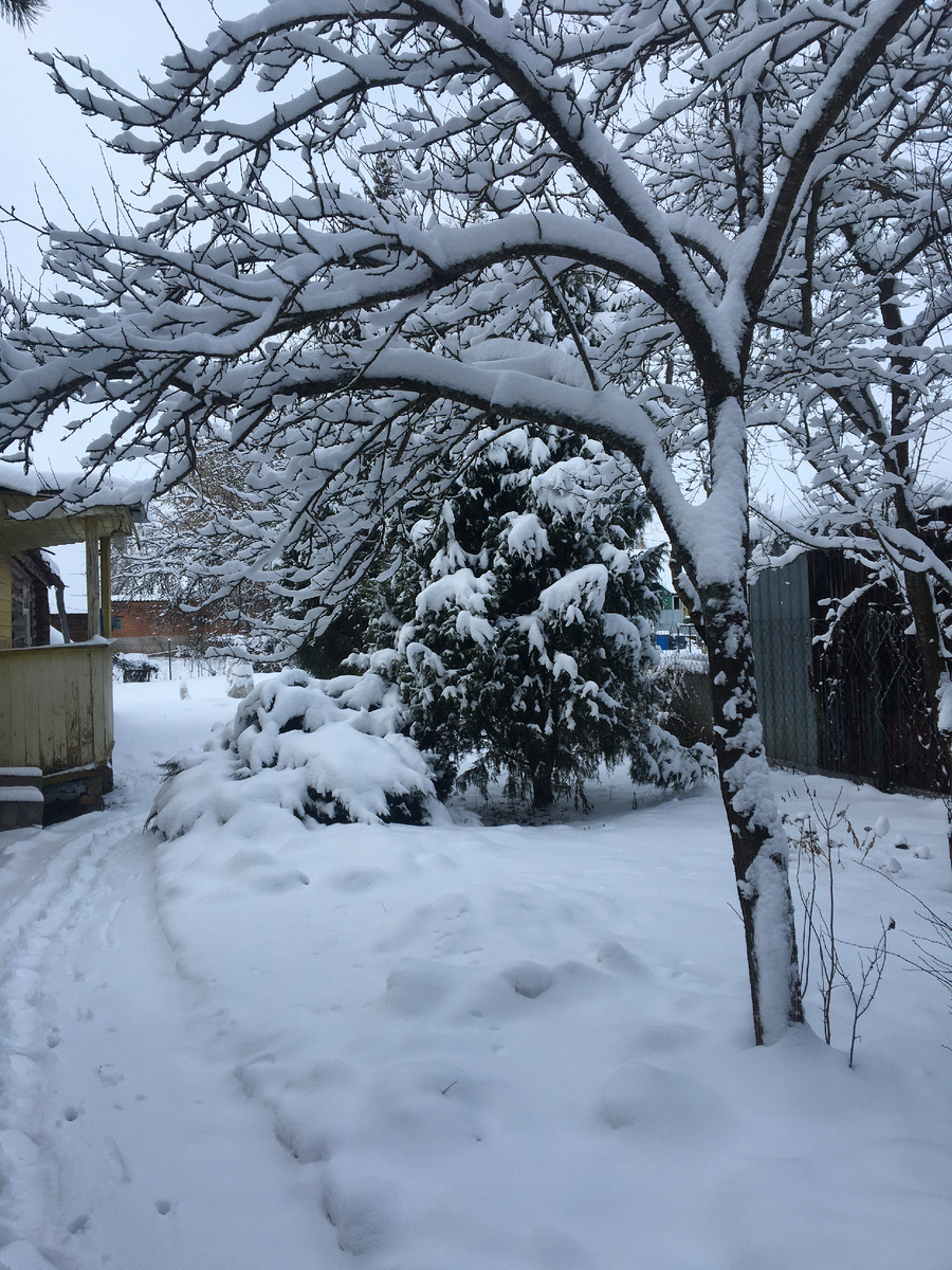 31.12.2025. Фото автора