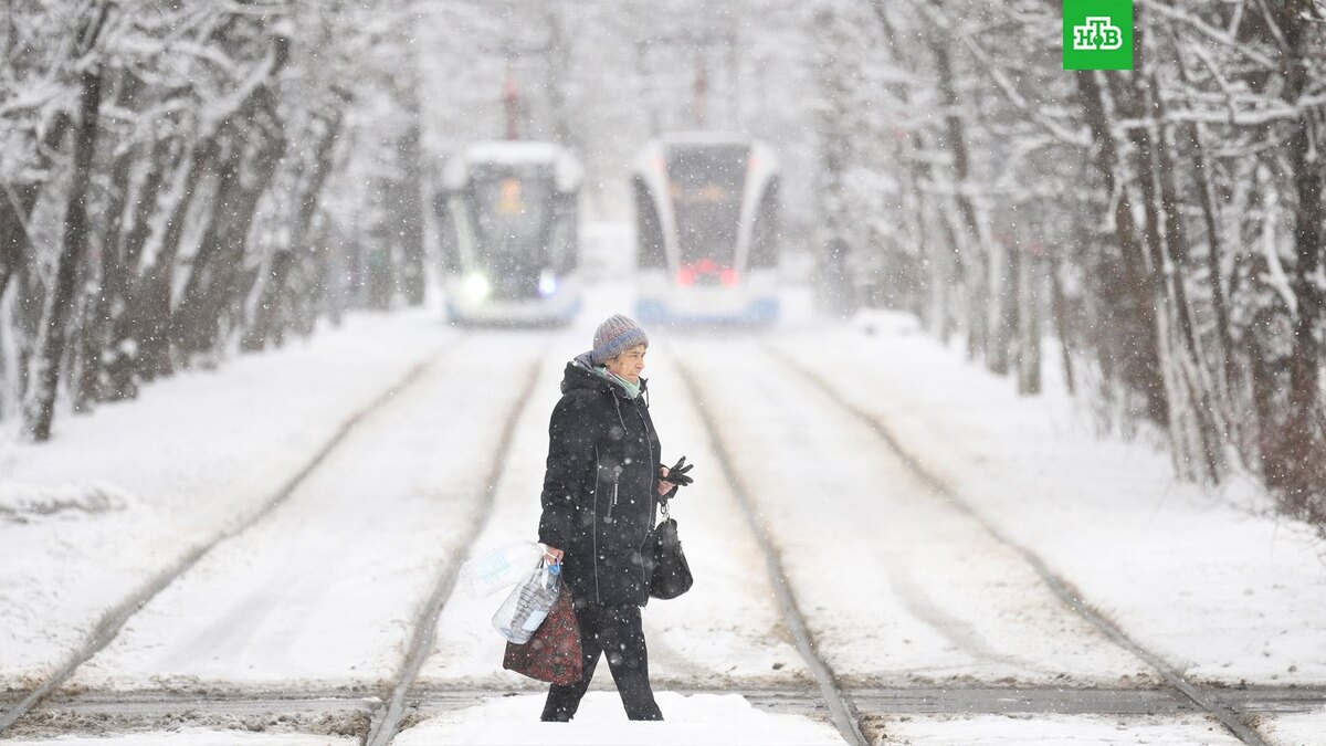    Фото: РИА Новости © 2026, Владимир Астапкович