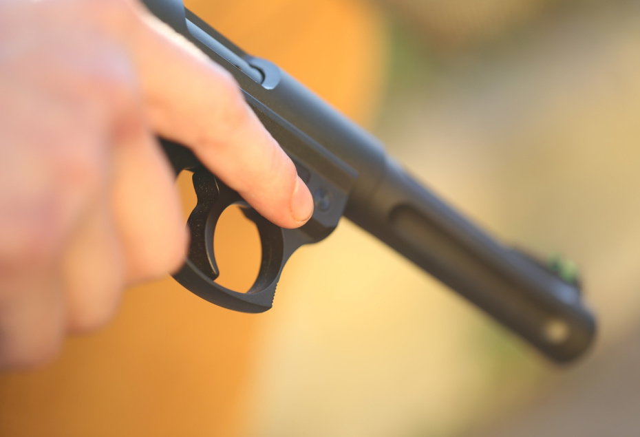    Shutterstock/FOTODOM