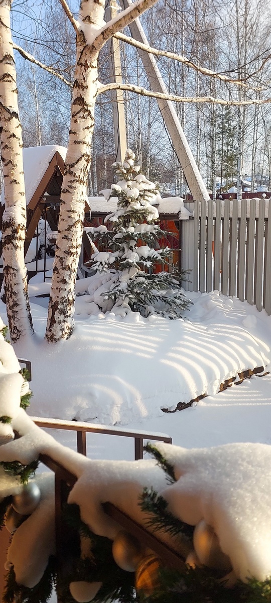 Голубая ель у входа на участок. Вид с крыльца.