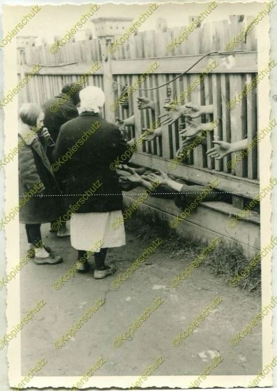 Фото лагеря военнопленных в г. Торопец. Источник фото: группа ВК "Советские военнопленные периода ВОВ" https://vk.com/club214359663