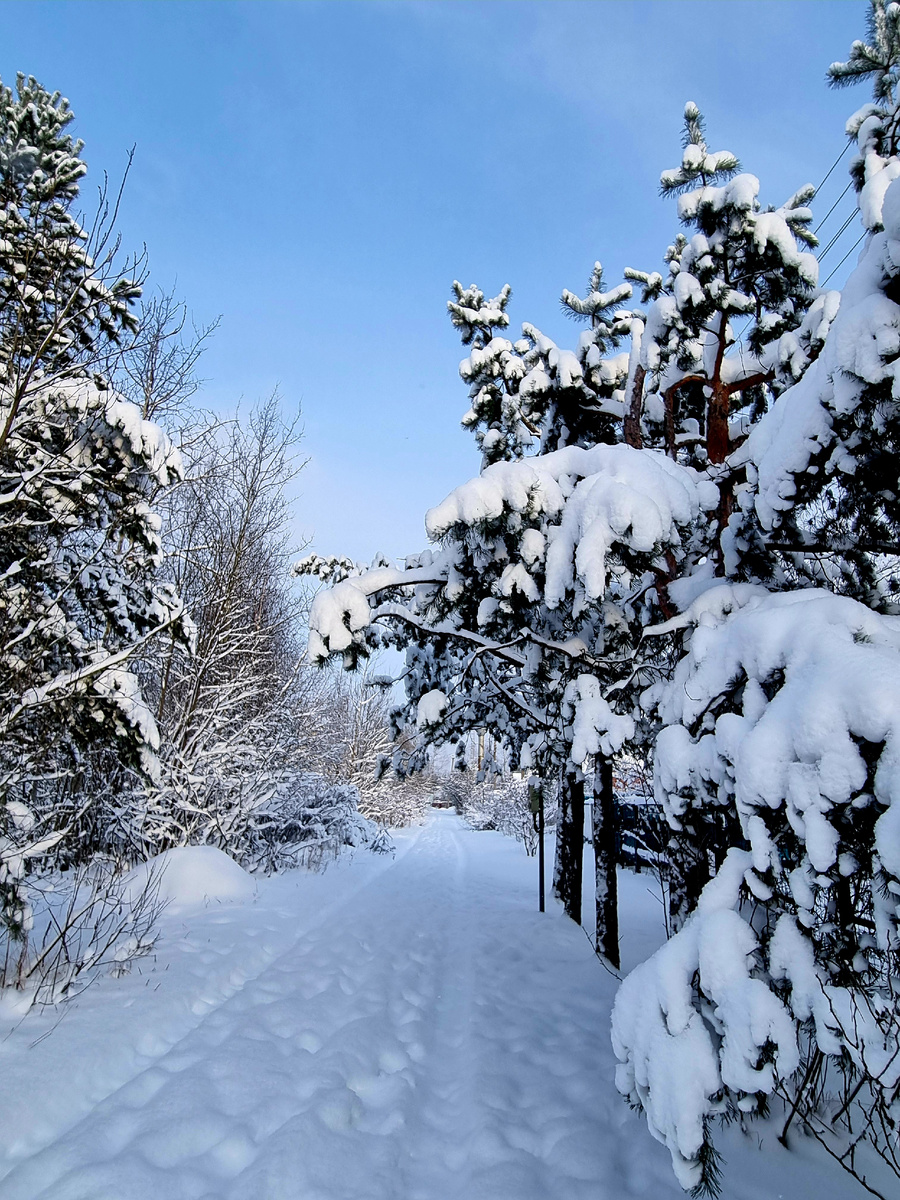 Фото автора статьи.