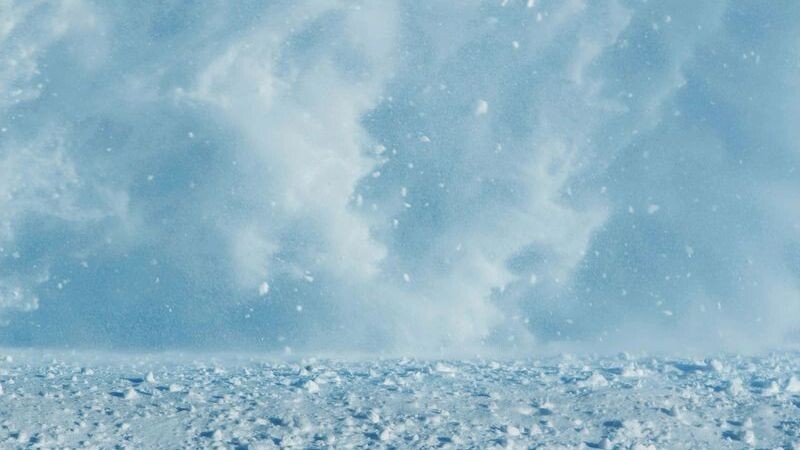    Фото: Losgala/Shutterstock/Fotodom