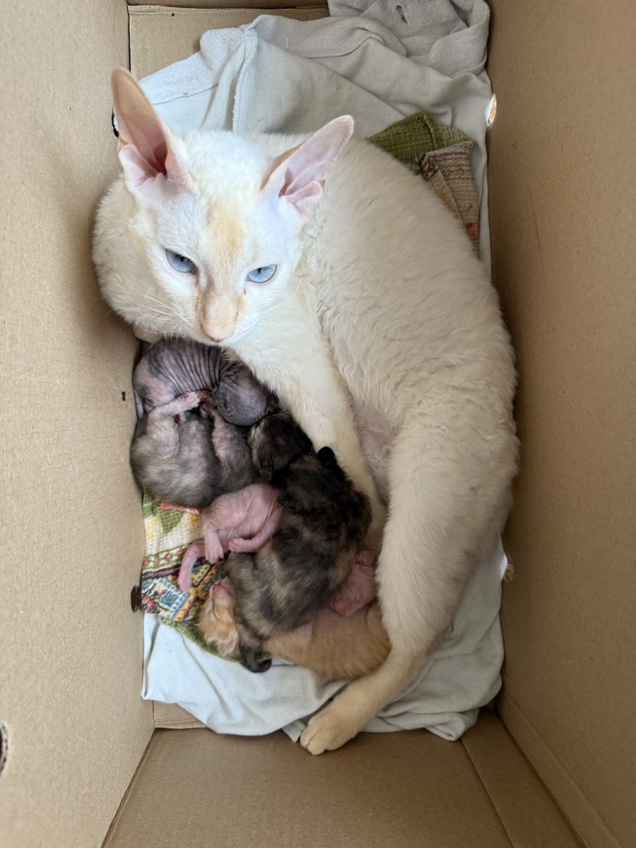                                                       Первая встреча с новорожденными