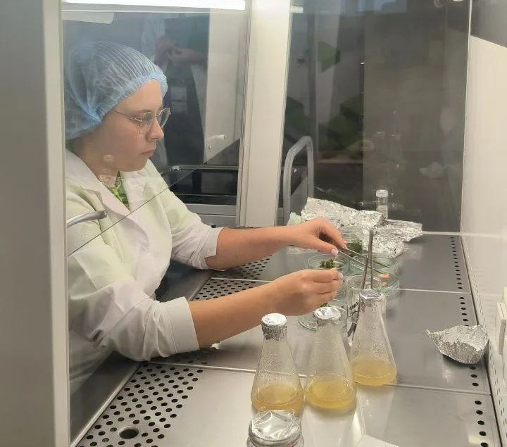    Фото из личного архива Дарьи Меркушовой