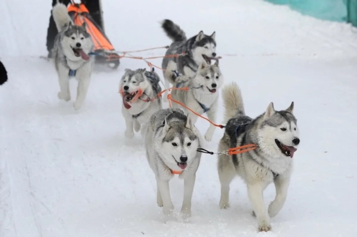    В Сургутском районе развивают туристическую сферу