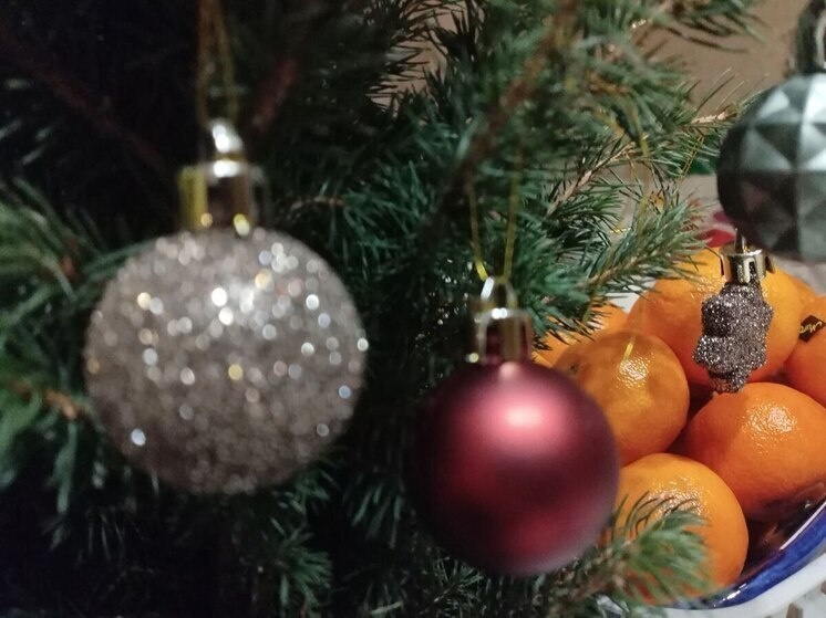     Фото: архив «МК в Калининграде».