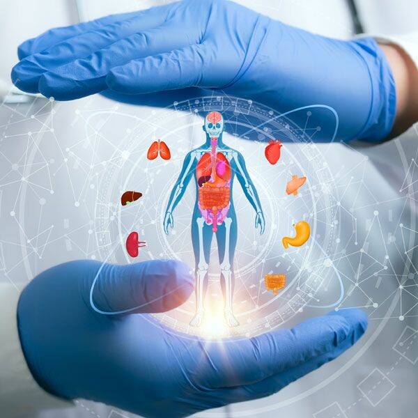 На чем основана ваша уверенность в своем рационе?